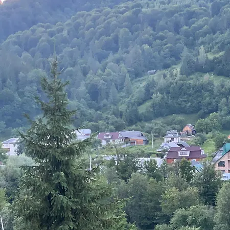Apartment заворіття 2 Sheshory