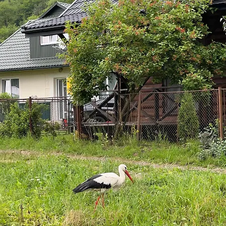 公寓 заворіття 2 舍绍里