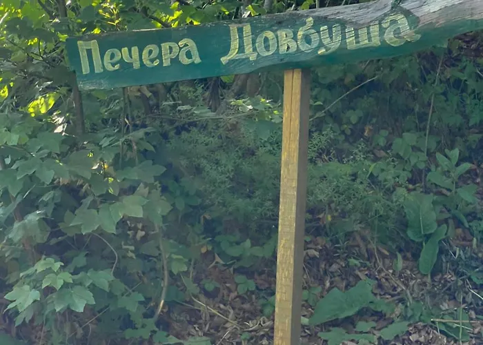 заворіття 2 公寓 *