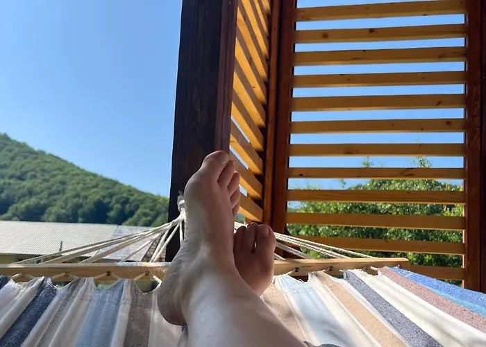 заворіття 2 公寓 舍绍里
