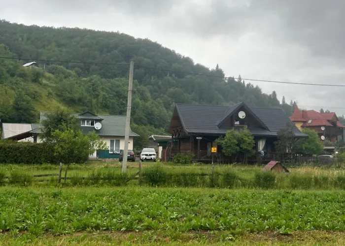 заворіття 2 * 舍绍里