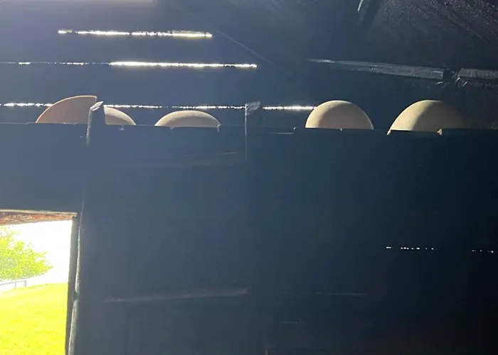заворіття 2 * 舍绍里