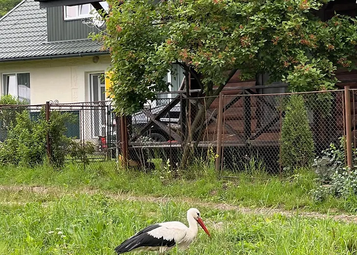 公寓 заворіття 2 舍绍里