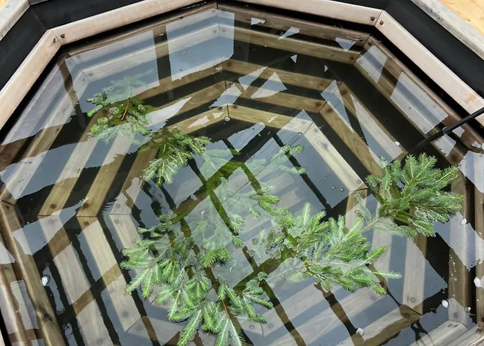 заворіття 2 公寓 舍绍里